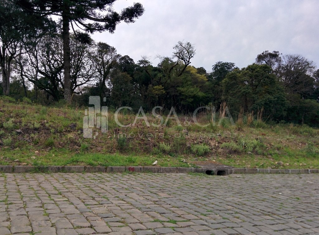 Terrenos<br />Bela Vista<br />Caxias do Sul<br /><br />TERRENOS LOCALIZADOS NO BAIRRO BELA VISTA - COM FÁCIL ACESSO AO CENTRO DA CIDADE. INFRAESTRUTURA COMPLETA DE ÁGUA, LUZ, ESGOTO E RUAS CALÇADAS. ENTREGA IMEDIATA.