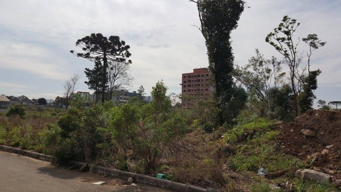 Terrenos<br />Planalto<br />Caxias do Sul<br /><br />TERRENO NO PLANALTO COM FRENTE OESTE DE 14,43M